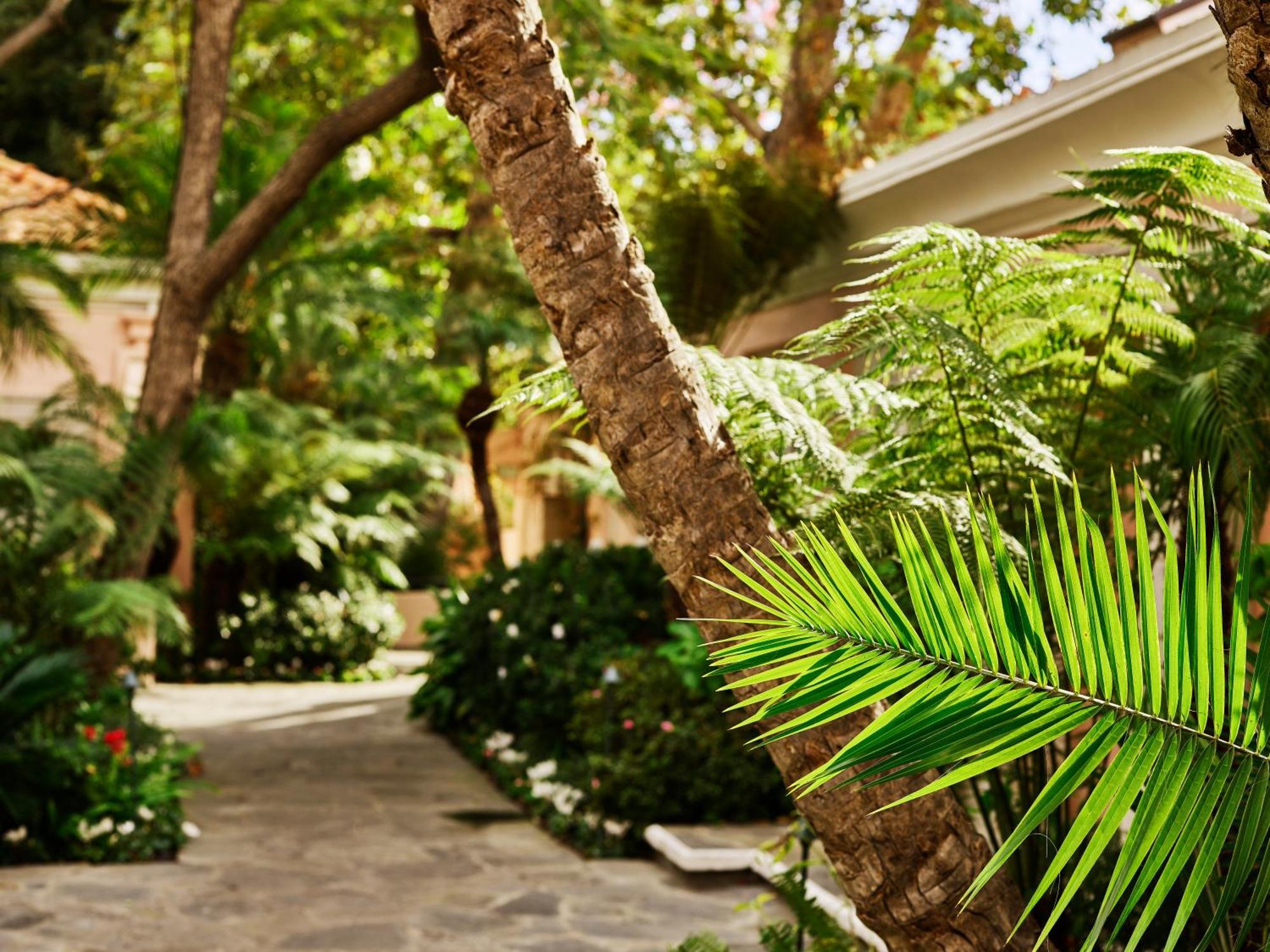Hotel Bel-Air - Dorchester Collection — Fotografii 2